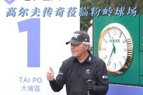 了新的活力
